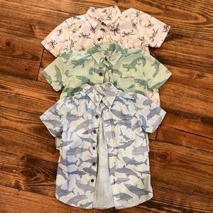 Bundle of 3 button down shirts